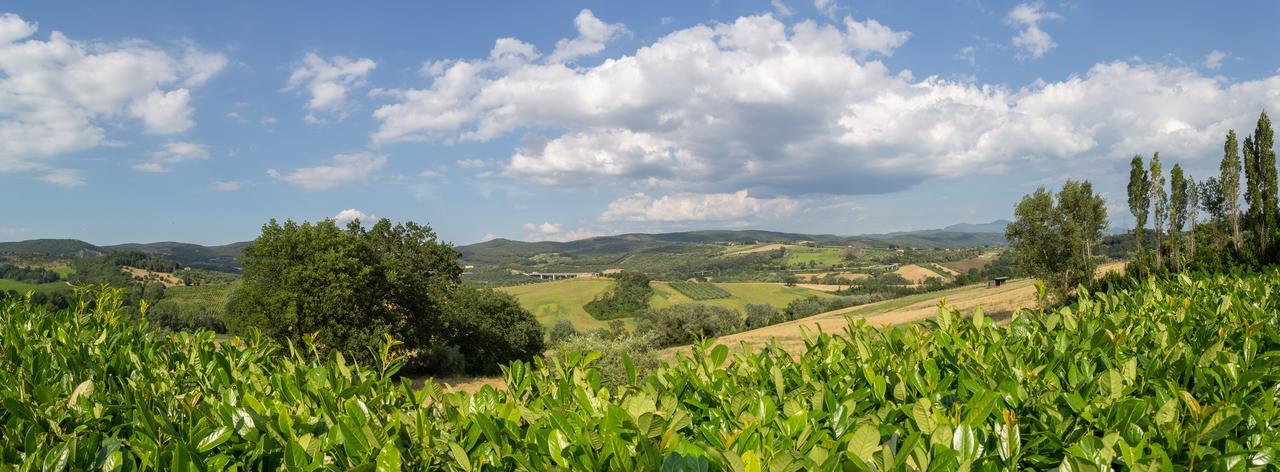 Agriturismo Dei Casali Amelia Buitenkant foto